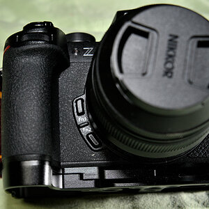 ZF1_8843.JPG