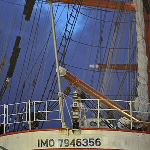 sedov_6.jpg