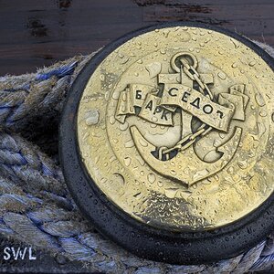 sedov_3.jpg