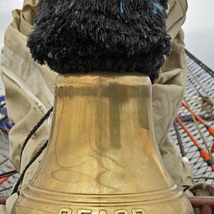 sedov_2.jpg
