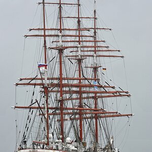 sedov_1.jpg
