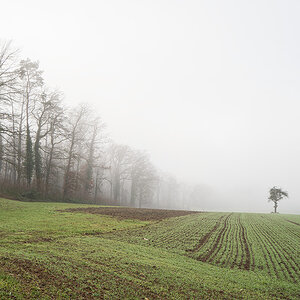 Zwingen_Q1000997_12.jpg