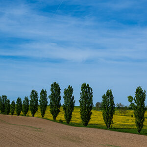 Kraichgau Frühjahr-0940.jpg
