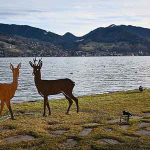 DSC_0288.jpg