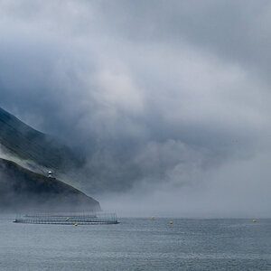 Färöer Bour-8392.jpg