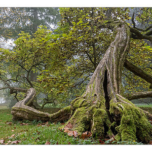 20241028 144819 DC-G9M2 12 mm 1-125 Sek. bei f - 6.3 ISO 640.jpg