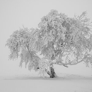 Schnee.jpg