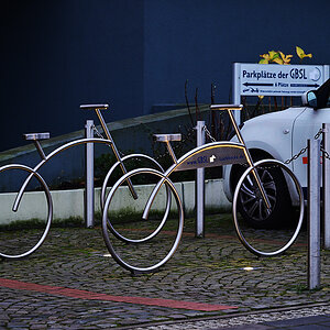 Z8A_0485fks45p1.jpg