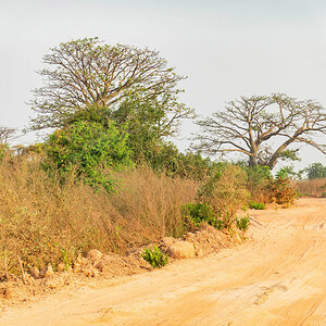2024-12-14 003 Dirt Road.jpg