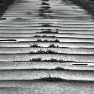Straßenprofil durchwachsen BW.jpg