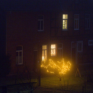 kein Tannenbaum