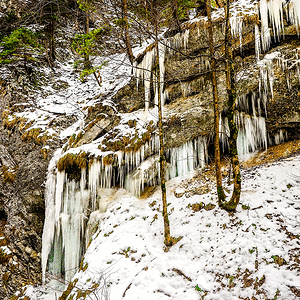 P2010127-3.gif