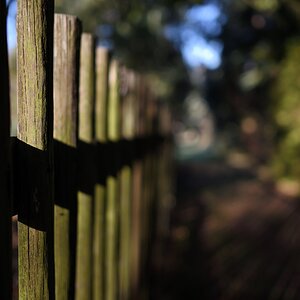 DSC_2857_00001n.jpg