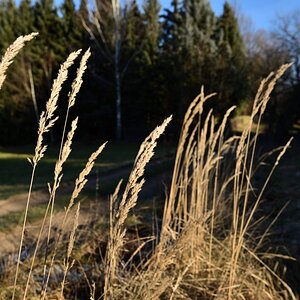 DSC_2902_00001n.jpg