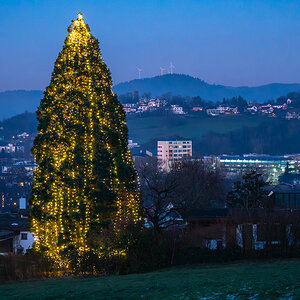 20241228-NZ6_0134-Verbessert-RR.jpg