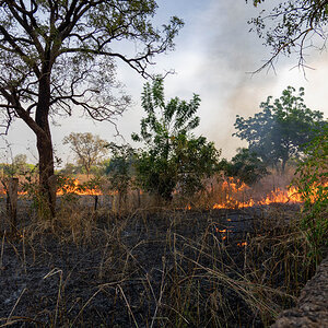 2024-12-16 081 Bush Fire.jpg