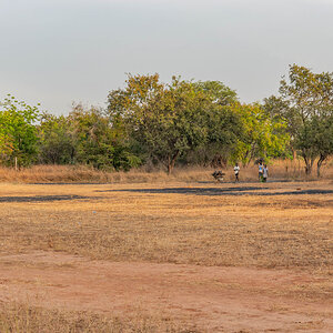 2024-12-16 082 Bush Fire.jpg