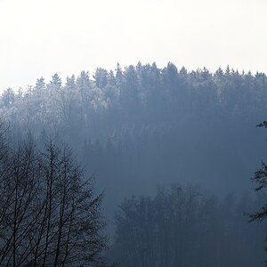 Blauer Wald.jpg
