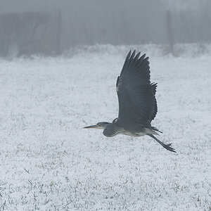 N1026139nikon.jpg