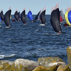 schilksee_regatta.jpg
