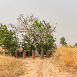 2024-12-18 071 Stone Circle.jpg