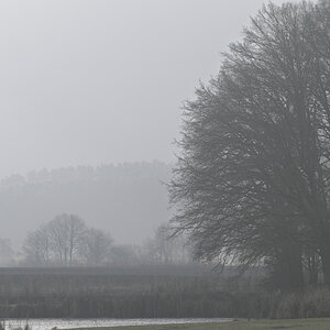 WK1_8581-Ds_NF.JPG