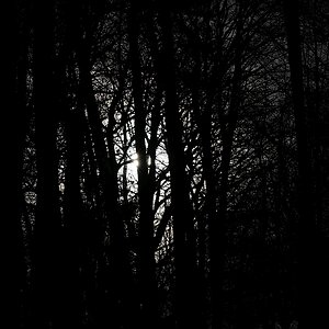 Finsterwald.jpg