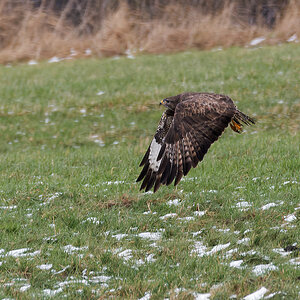 N1046628nikon.jpg