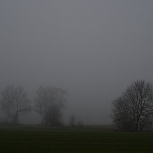 Z8A_0496s45p1.jpg