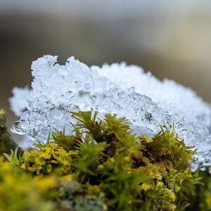 20250104-NZ7_1663.jpg