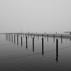 DSC_2651.JPG