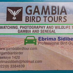 2024-12-16 037 Ebrima Contact.jpg