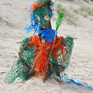 DSC_3107b.jpg