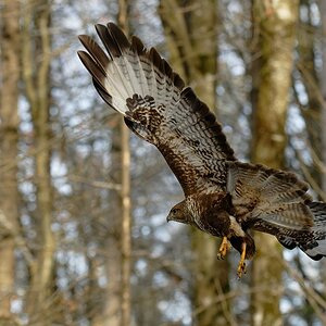 2025_000183_DxO.jpg