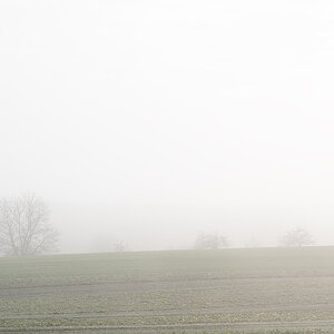 Nebel.jpg