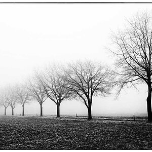 Fading out_2_BW.jpg