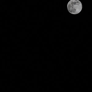 20250113_212937.jpg