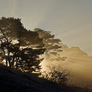 PA216960nikon.jpg