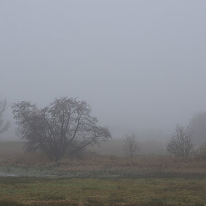 DSC_2676.JPG