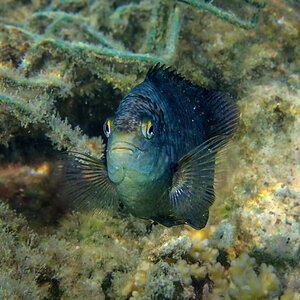 20140408-P4080945.jpg