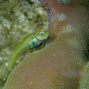 20140407-P4070884.jpg