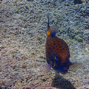 20140407-P4070861.jpg