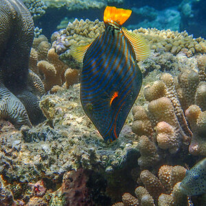 20140403-P4030477.jpg