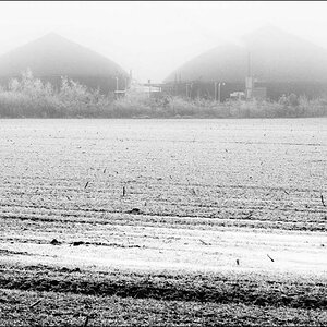 Biogas im Nebel_BW 3.jpg
