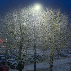 20250116-DSC_8420-Verbessert-RR.jpg