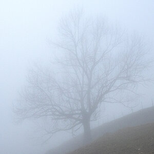 Nebel.jpg