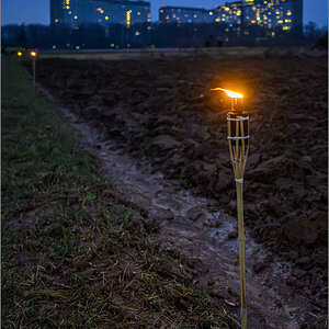 DZ8_2126-Verbessert-RR.jpg