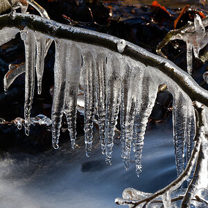 N1188811nikon.jpg