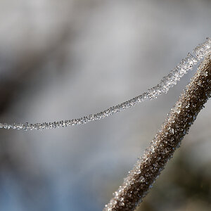 N1188673nikon.jpg
