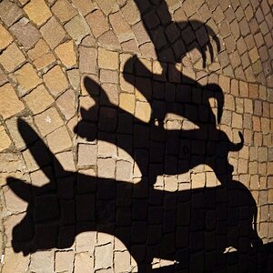 bremen_stadtmusikanten_1.jpg